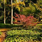 Licht und Farben im Volksgarten