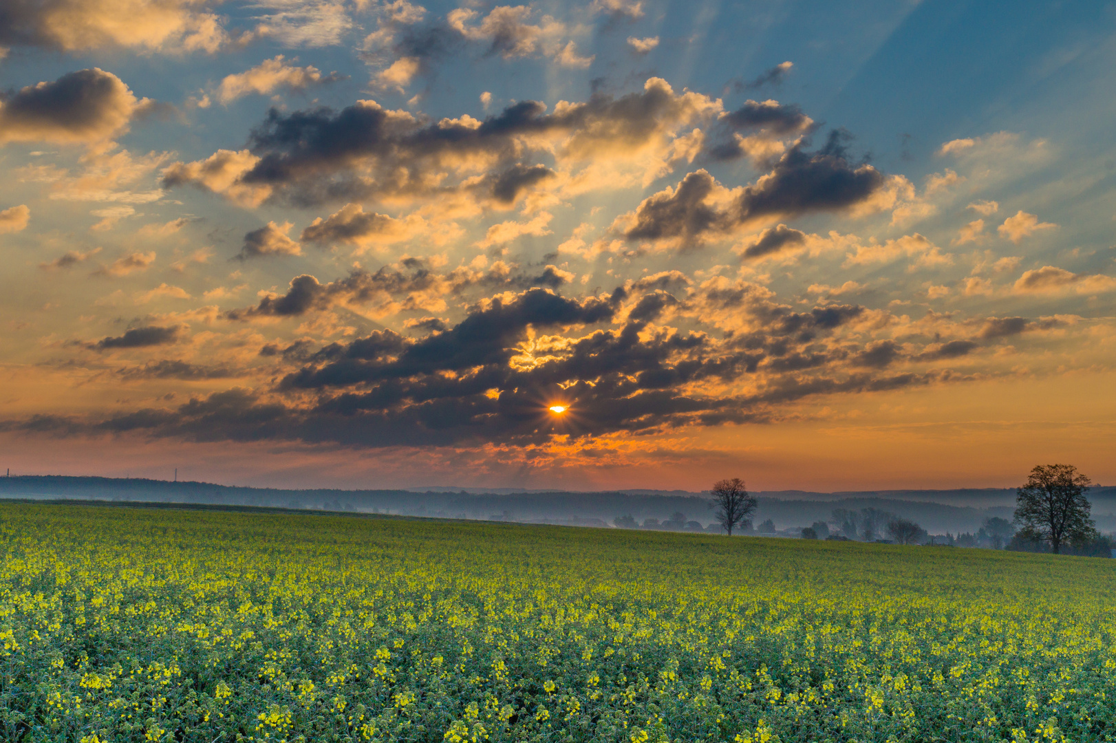 Licht und Farbstimmung V