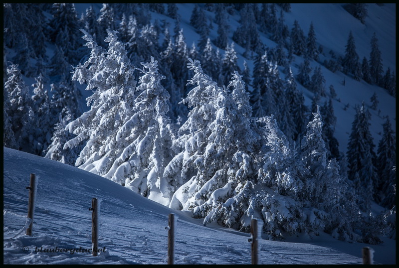 Licht und Frost