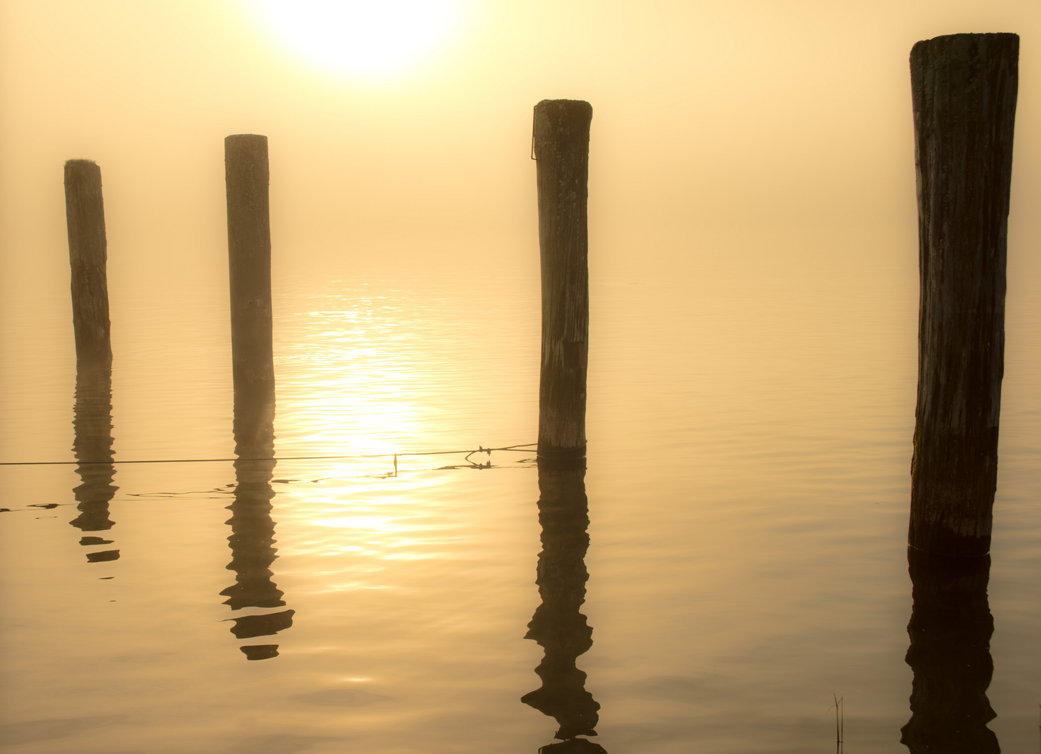 Licht und Frühnebel am Chiemsee