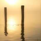 Licht und Frühnebel am Chiemsee