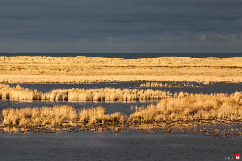 Licht und Meer