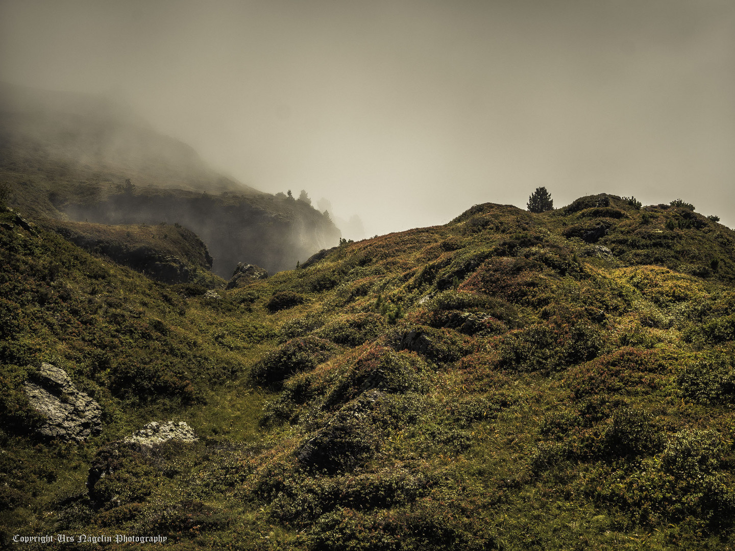 Licht und Nebel