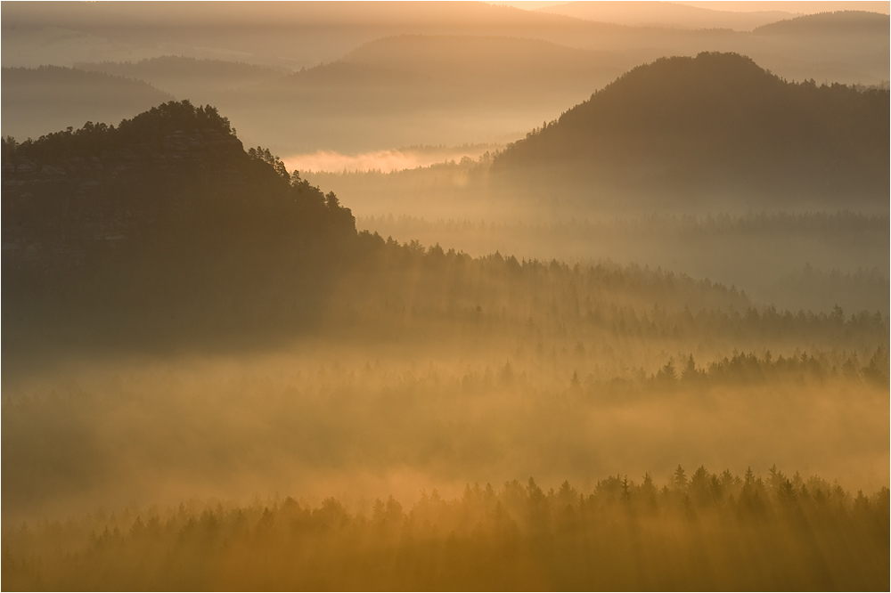 Licht und Nebel...