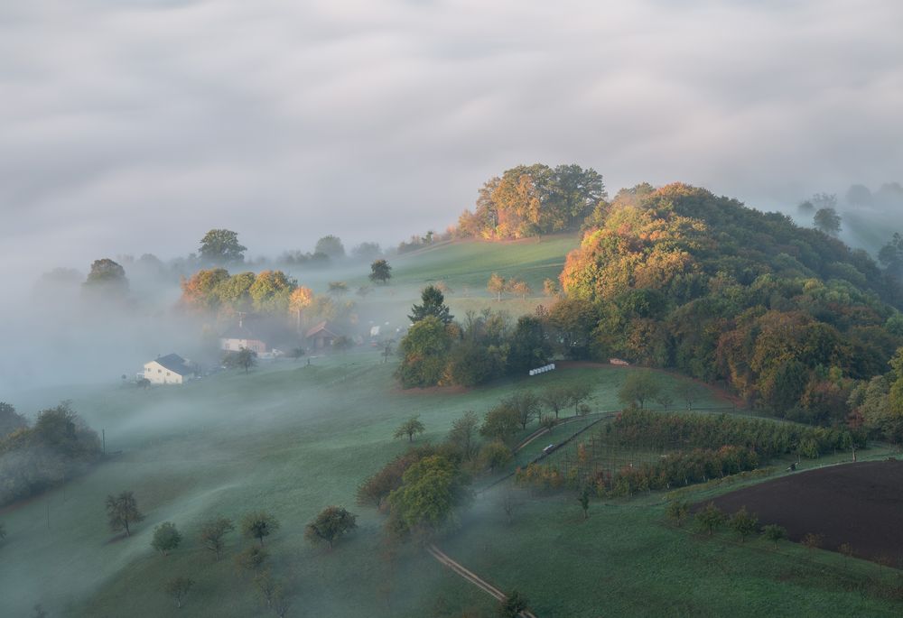 Licht und Nebel