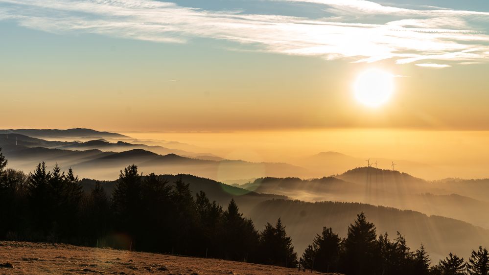Licht und Nebel