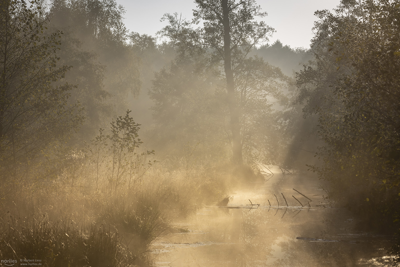 Licht und Nebel