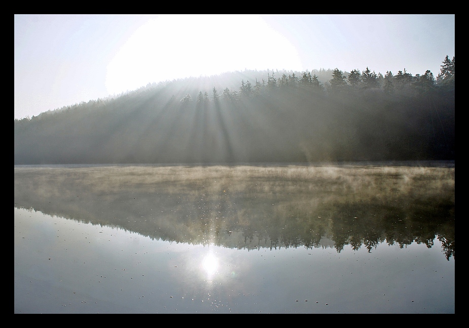 Licht und Nebel