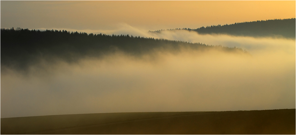 Licht und Nebel