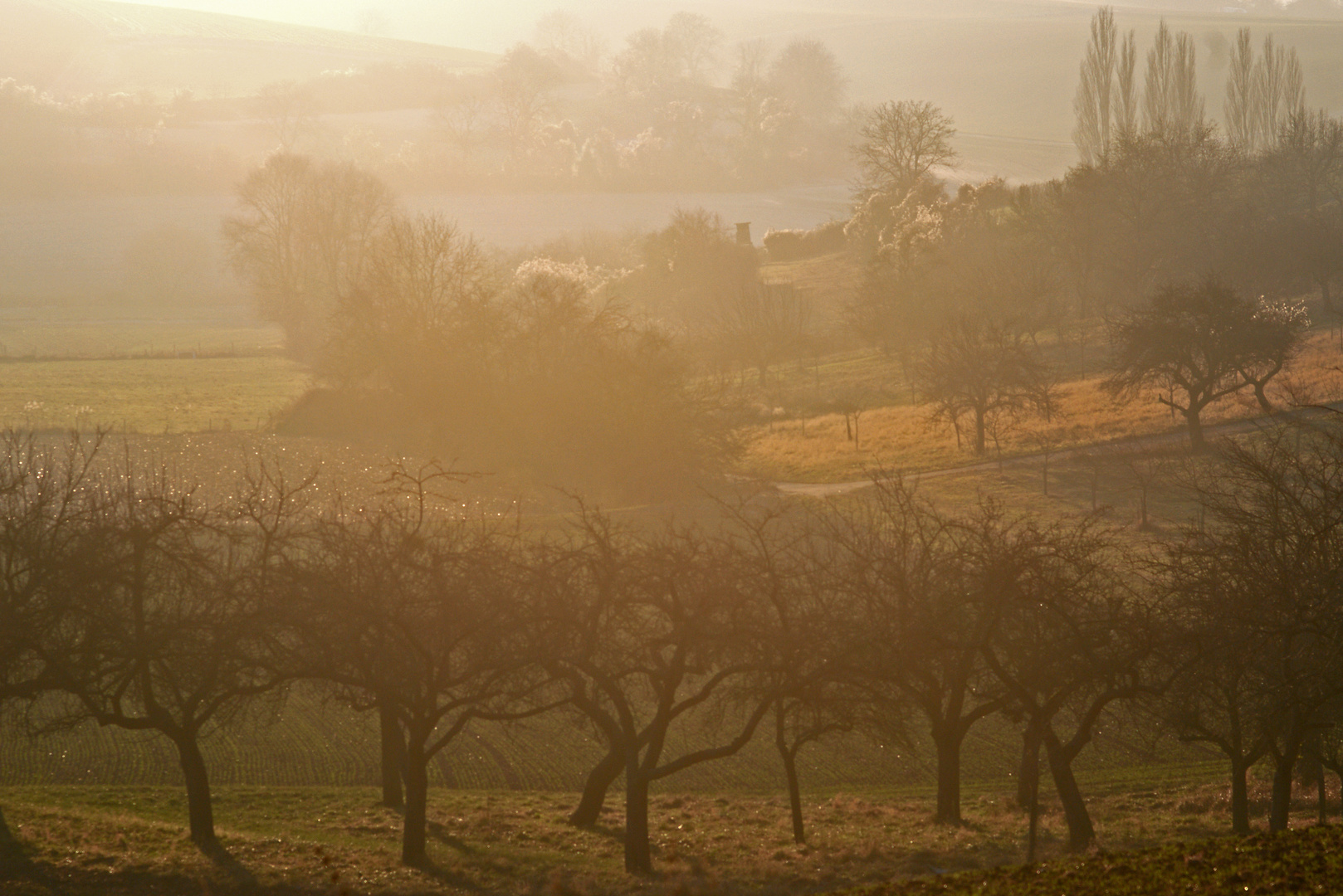 Licht und Nebel