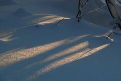 Licht und Schaaten