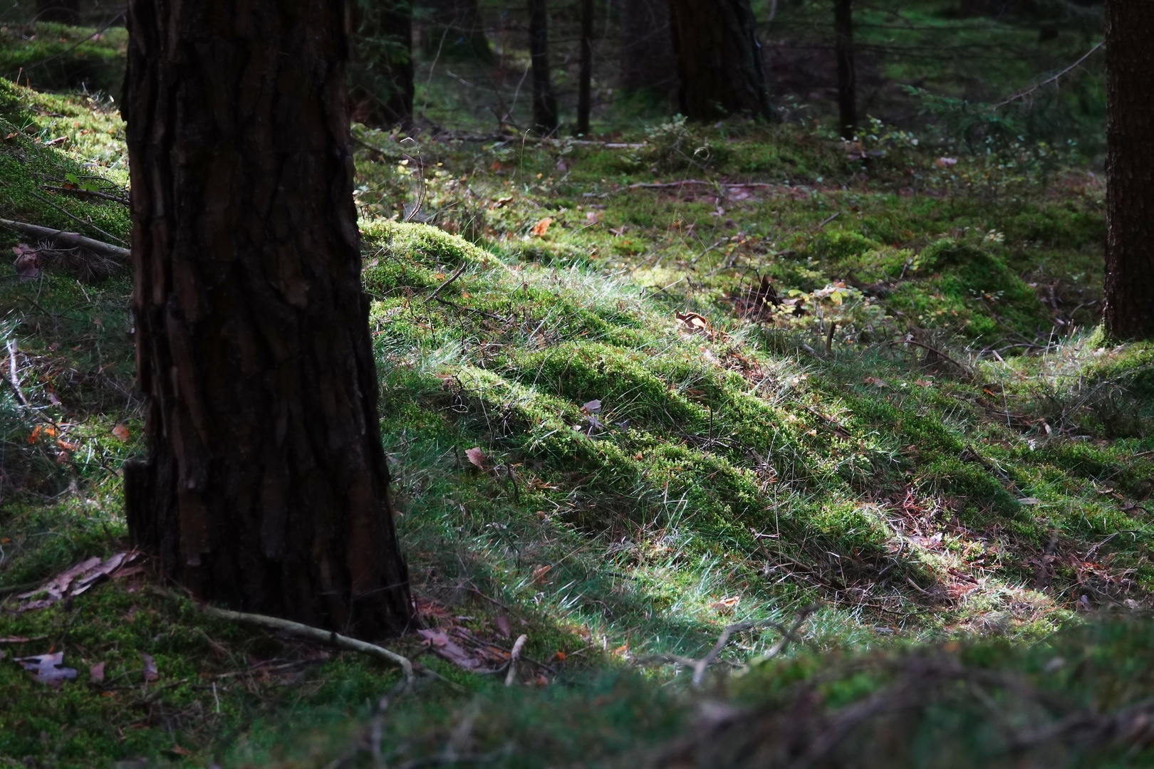 Licht und Schatten