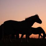 Licht und Schatten