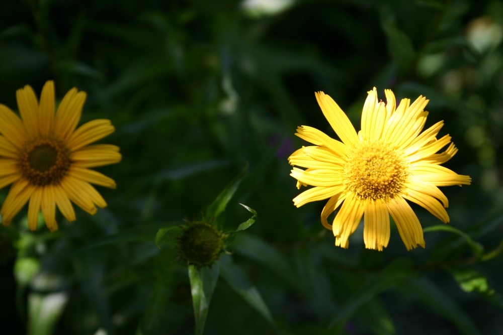 Licht und Schatten