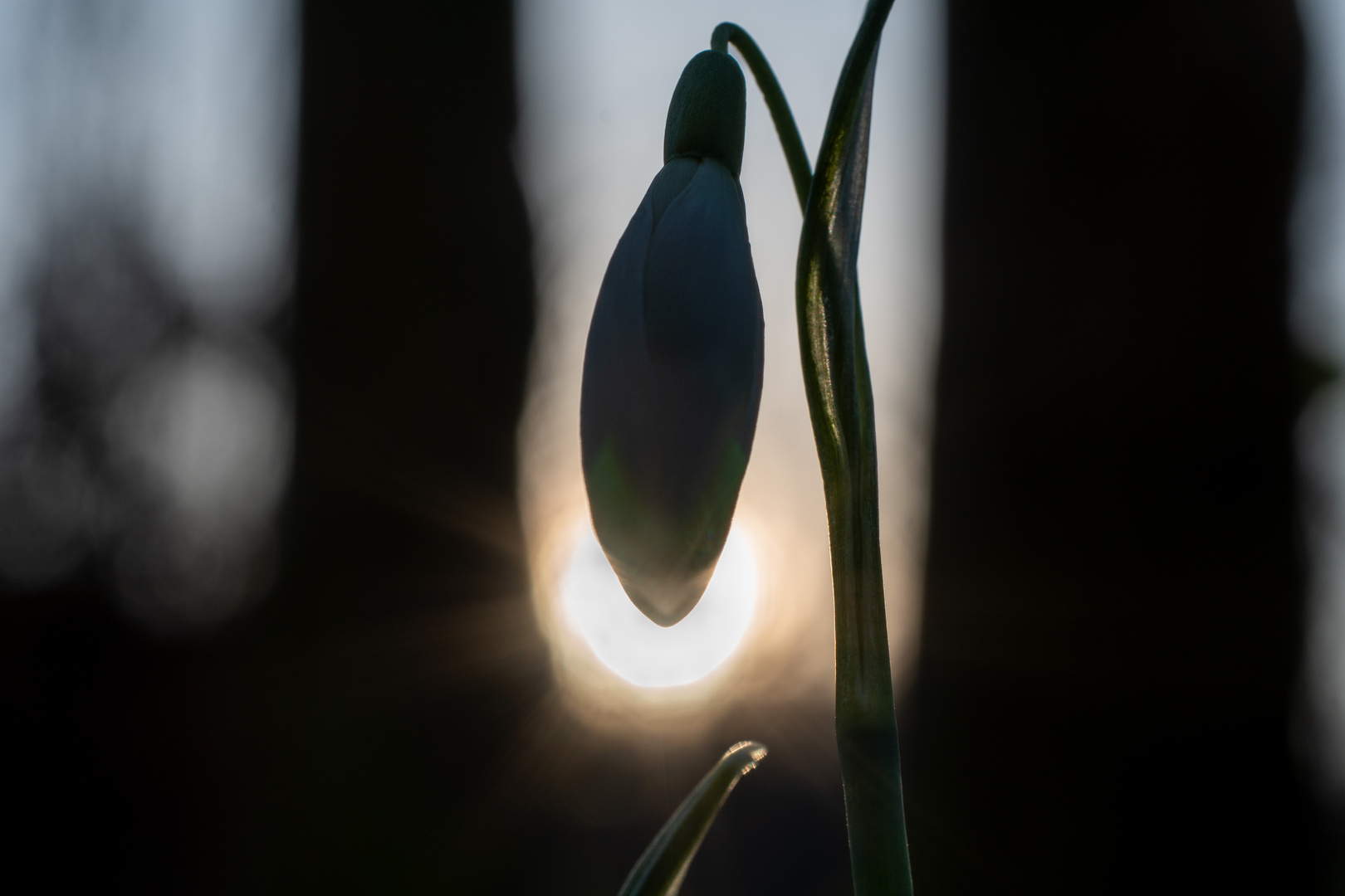 Licht und Schatten