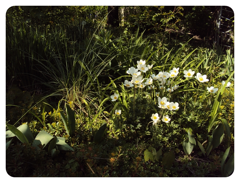 Licht und Schatten