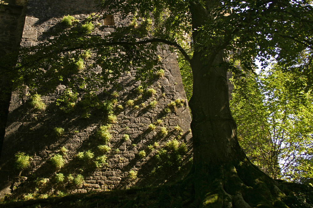 Licht und Schatten