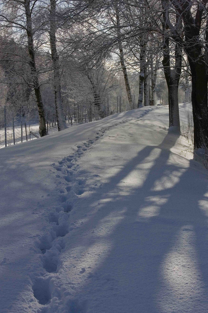 Licht und Schatten