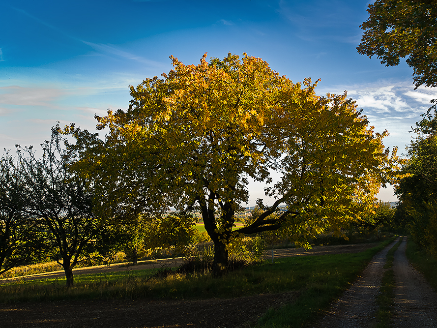 Licht und Schatten