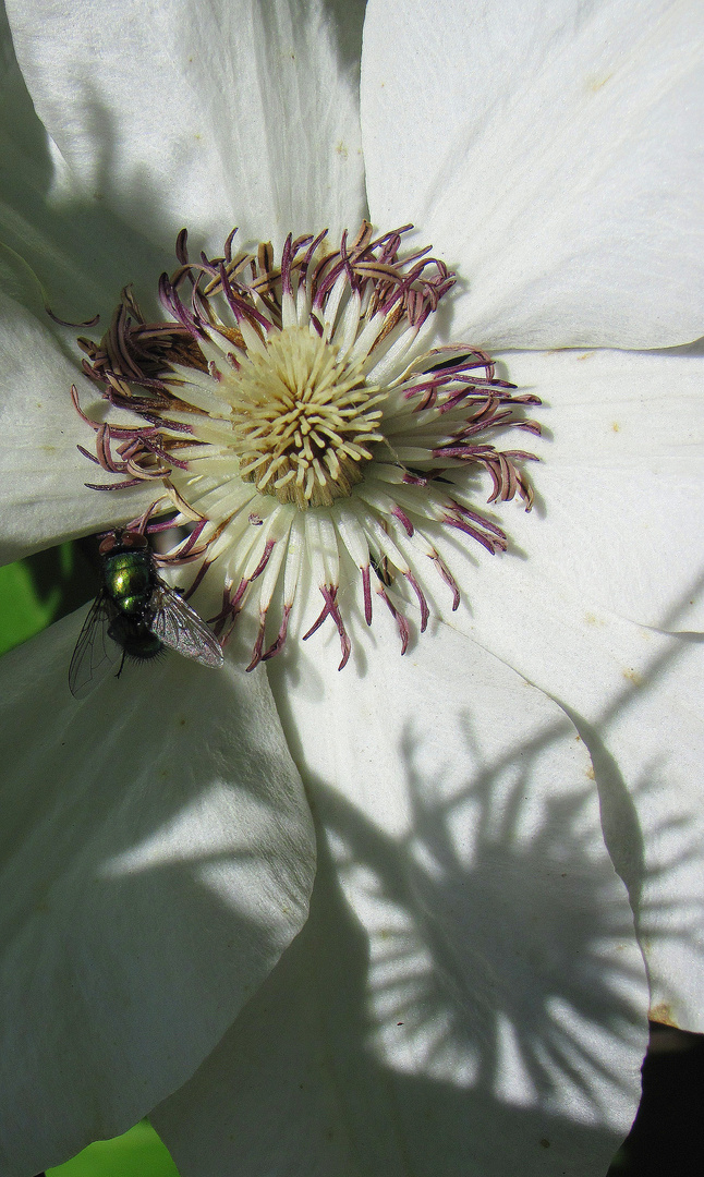 Licht und Schatten