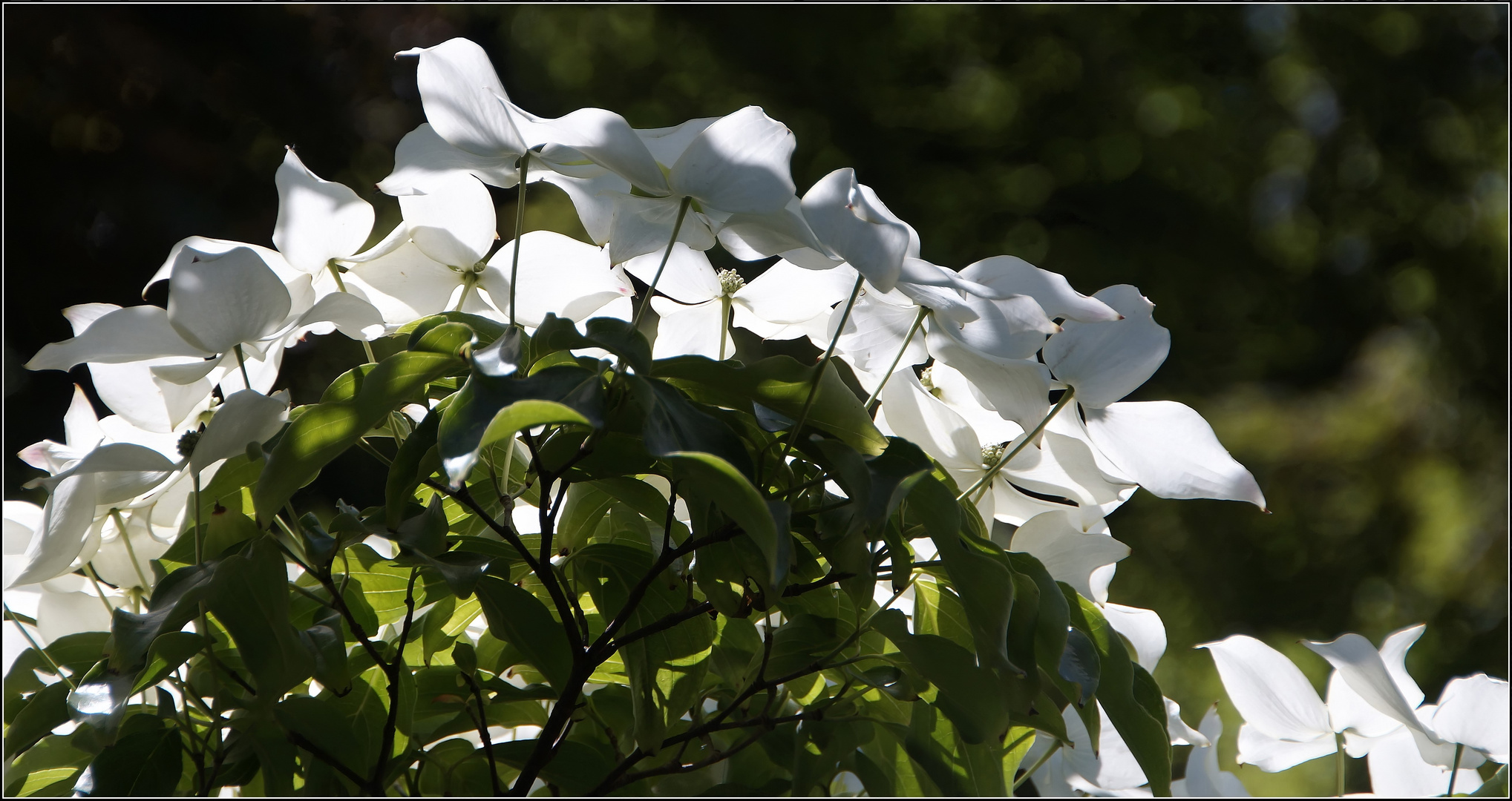 Licht und Schatten