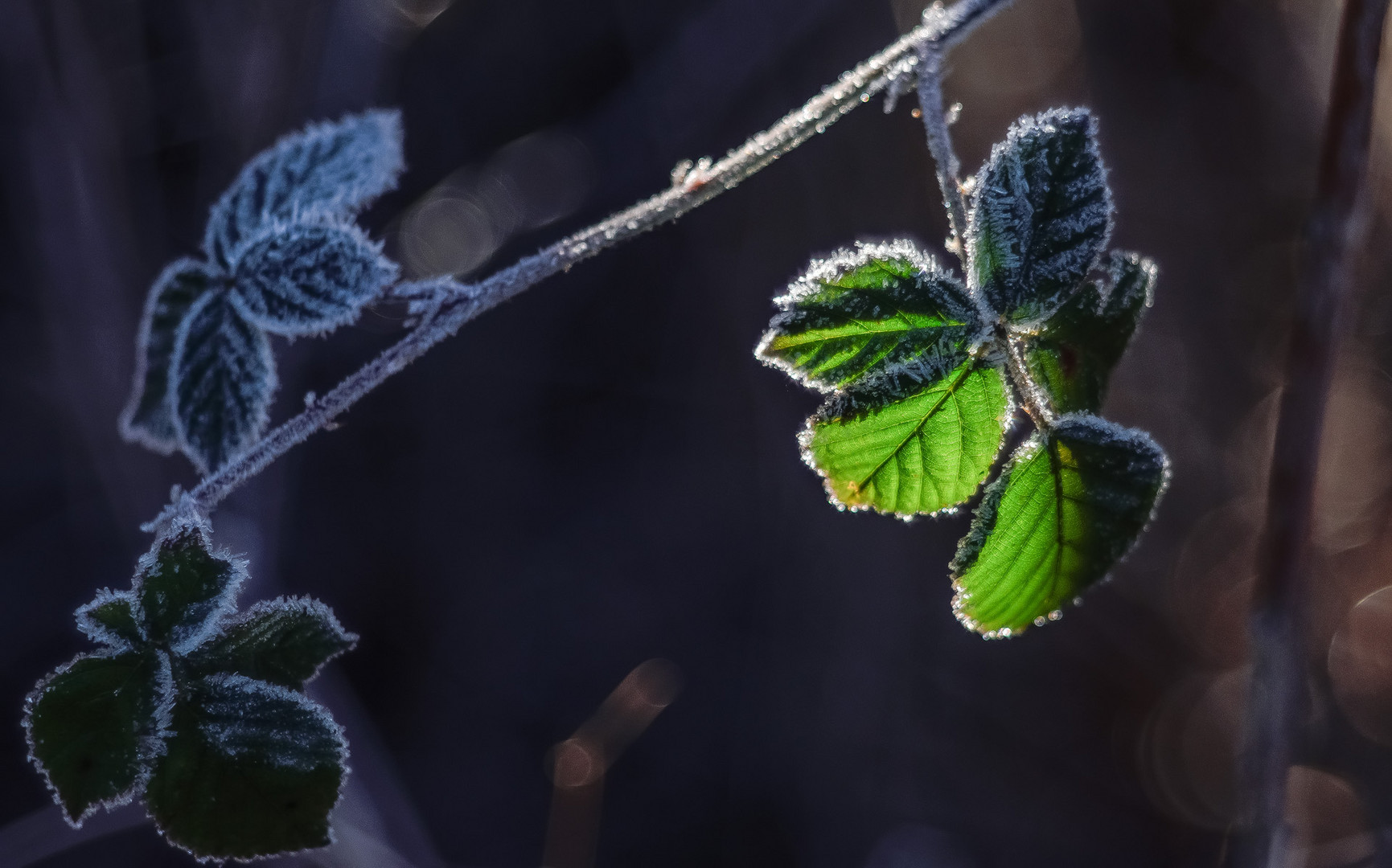 Licht und Schatten