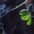 Licht und Schatten