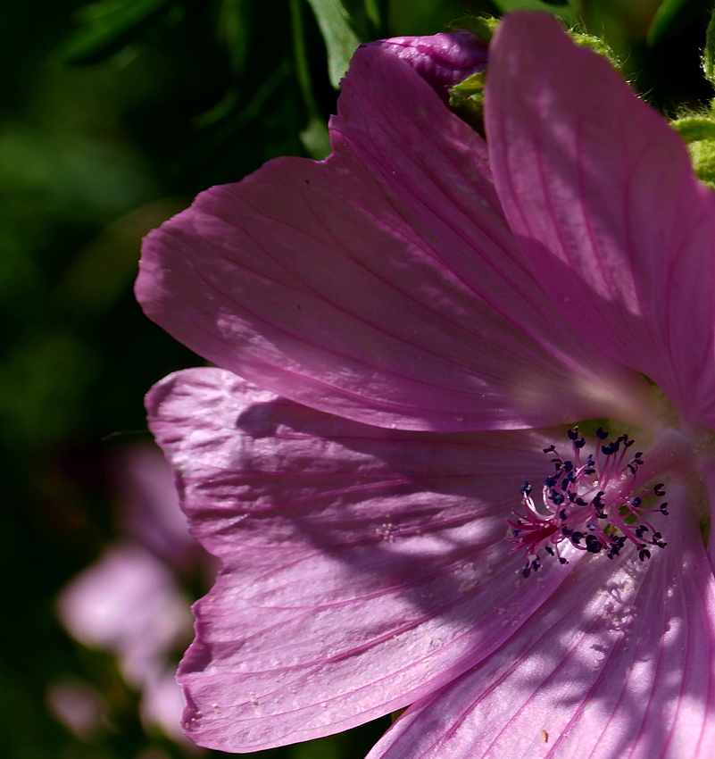 Licht und Schatten