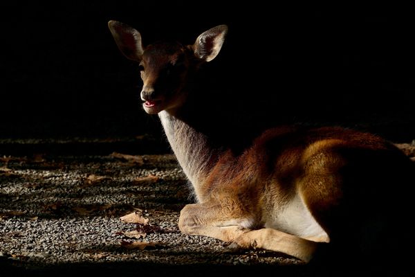 Licht und Schatten ...