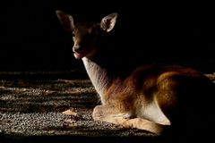 Licht und Schatten ...