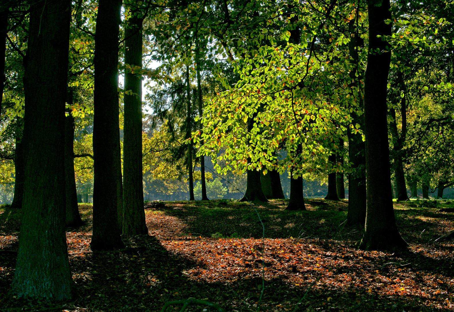 Licht und Schatten..