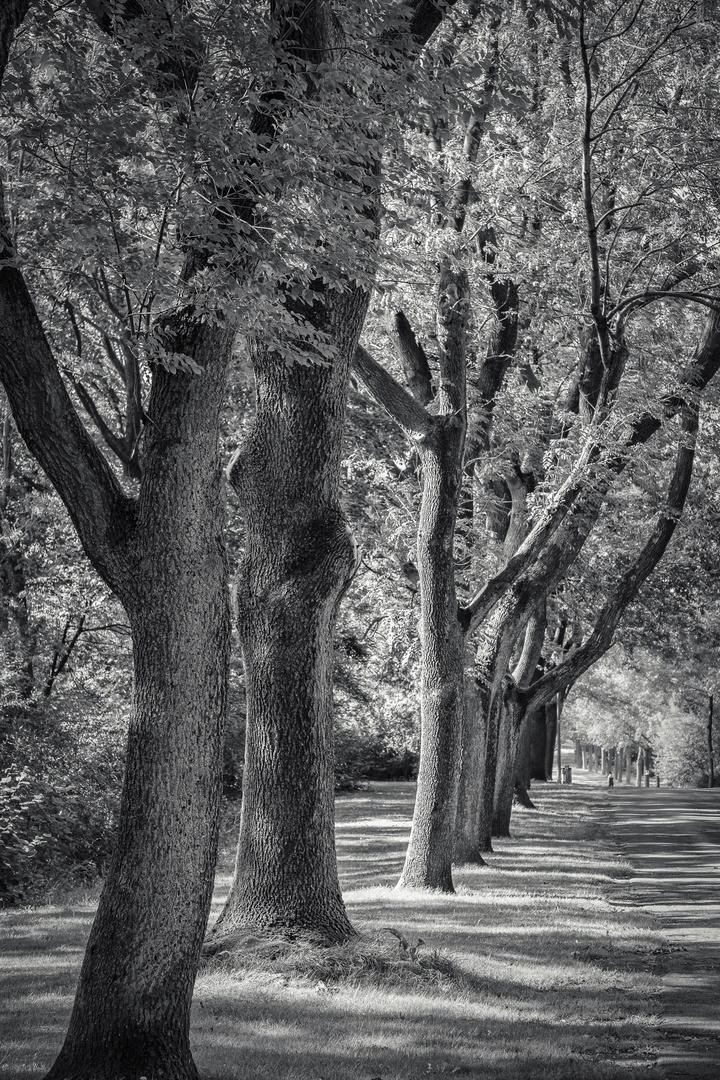 Licht und Schatten