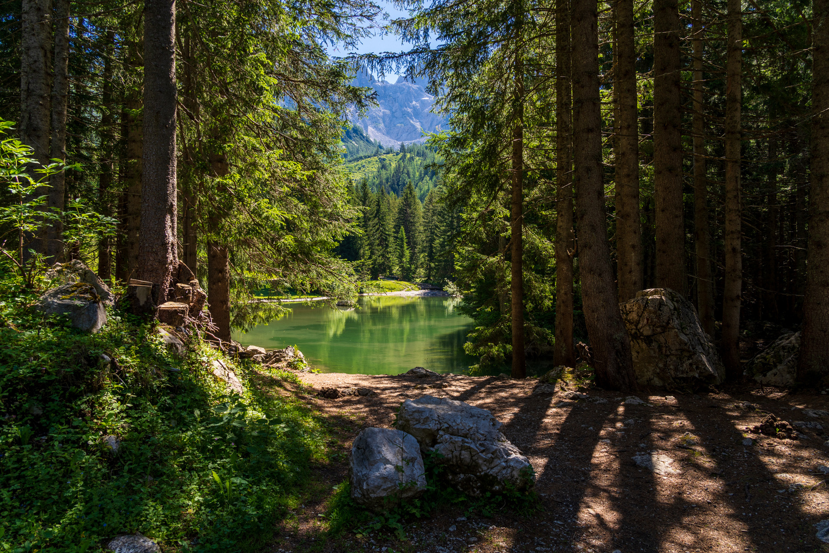 Licht und Schatten. 