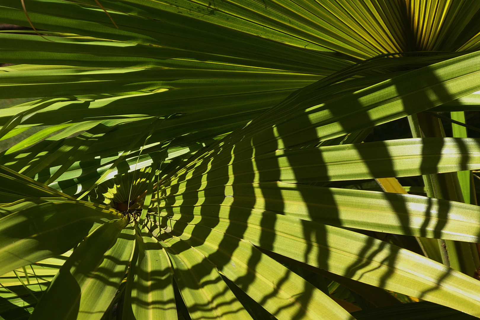 Licht und Schatten