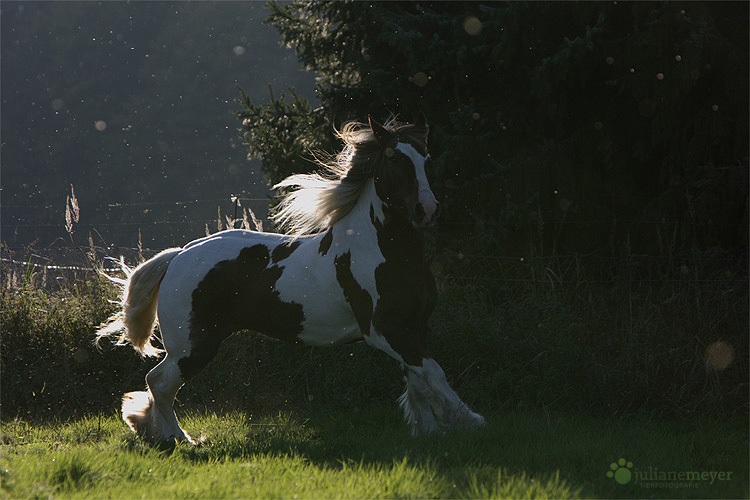 Licht und Schatten