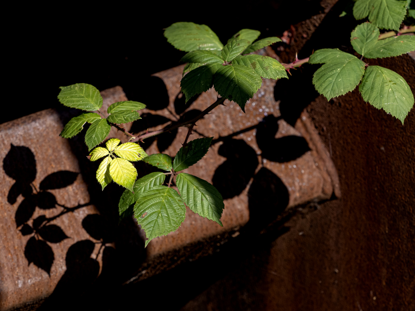 Licht und Schatten