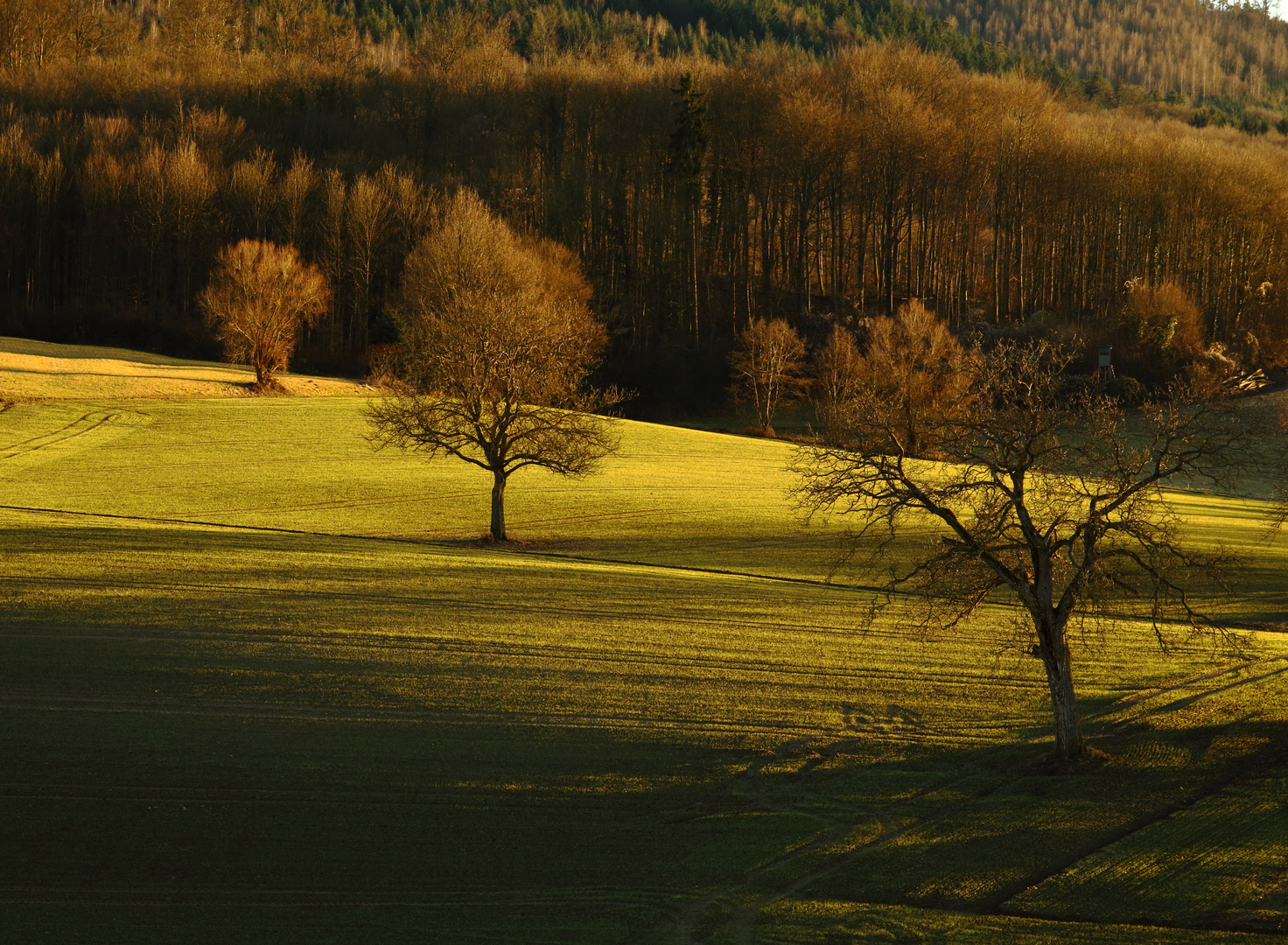 Licht und Schatten