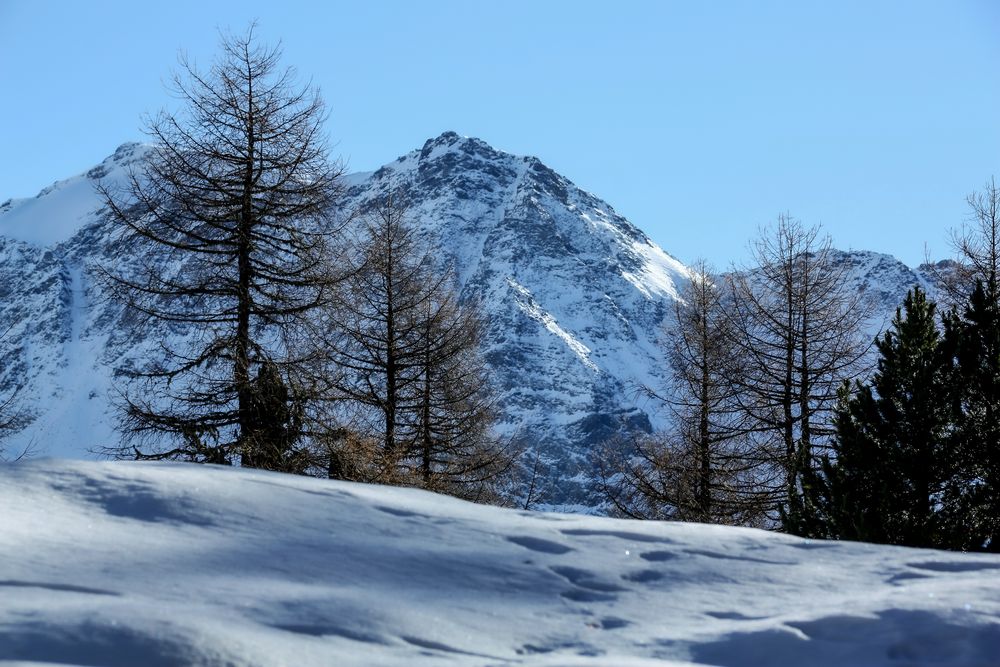 Licht und Schatten