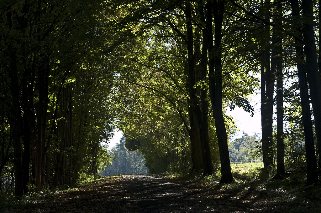 licht und schatten 2