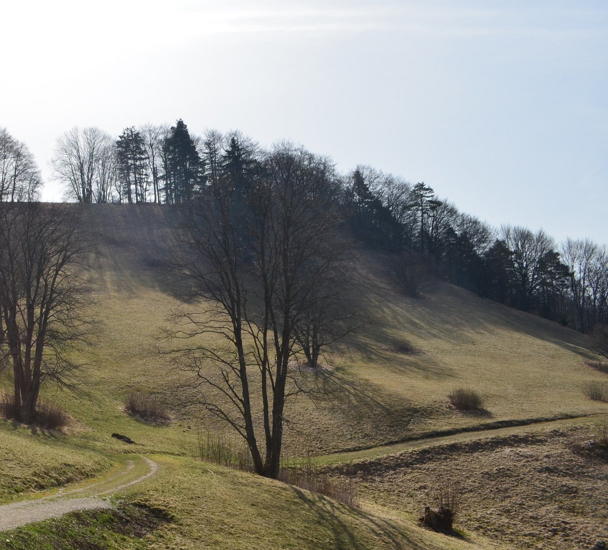 Licht und Schatten 2