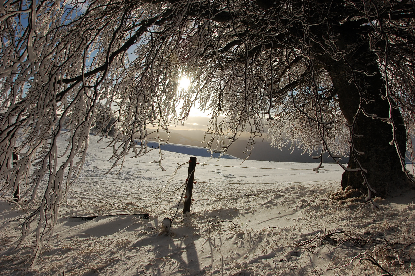 Licht und Schatten #2