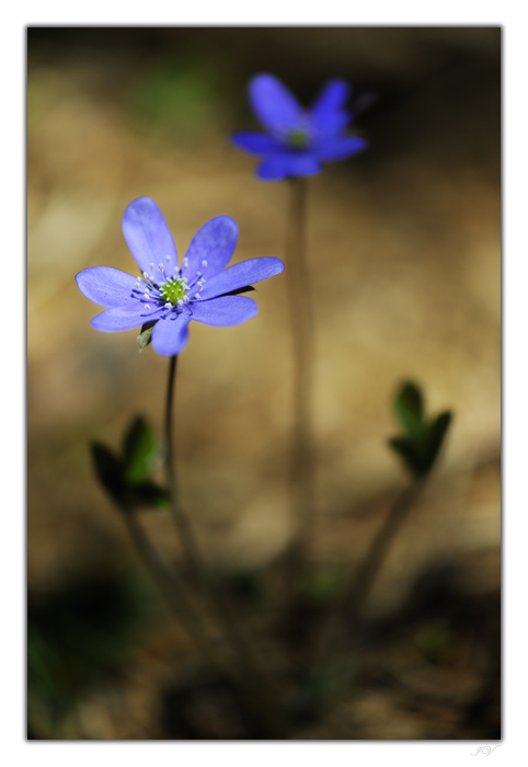 Licht und Schatten