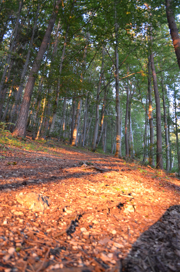 Licht und Schatten