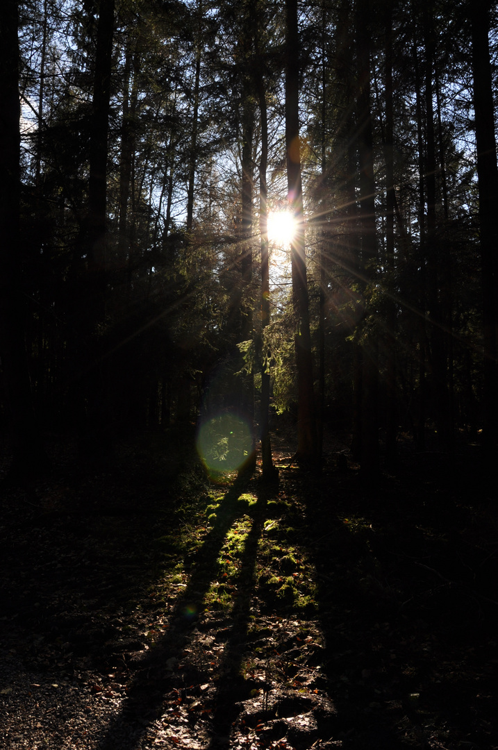 Licht und Schatten