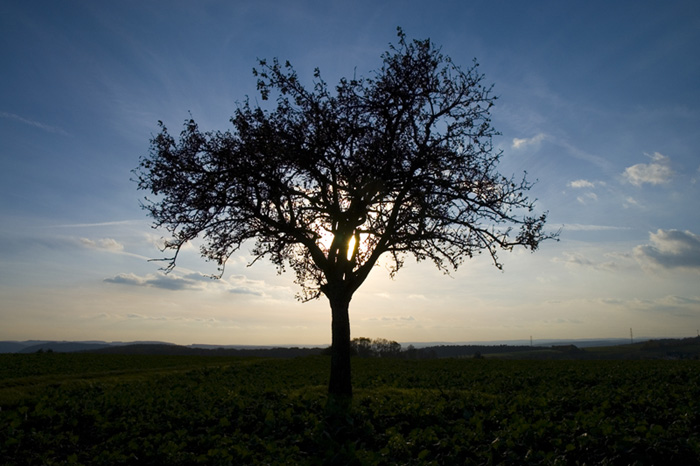 Licht und Schatten