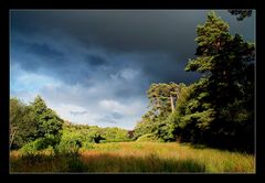 Licht und Schatten