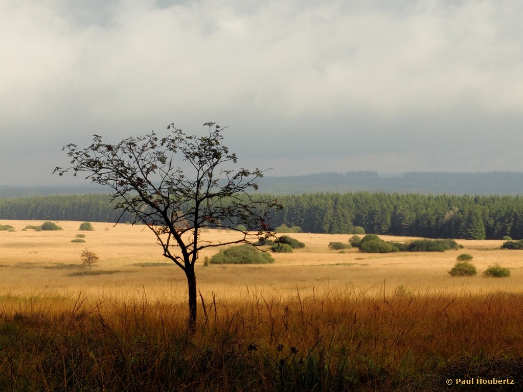 Licht und Schatten