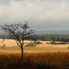 Licht und Schatten