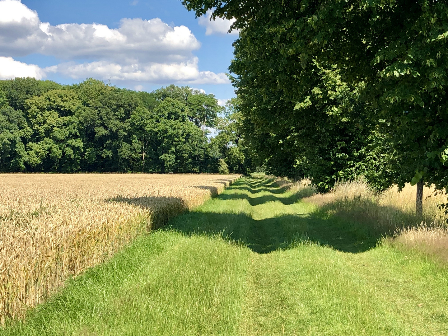 Licht und Schatten