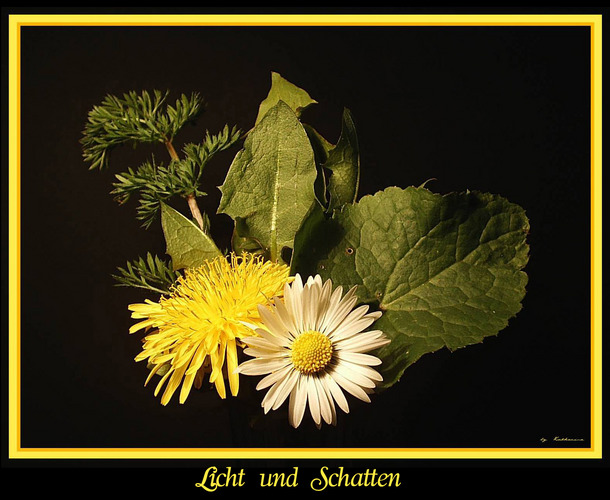 Licht und Schatten